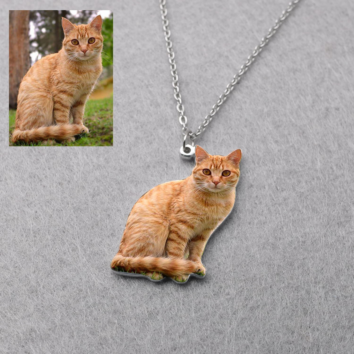 สร้อยคอรูปภาพสัตว์เลี้ยงส่วนตั - Pet Portrait Custom บทวิจารณ์และราคา