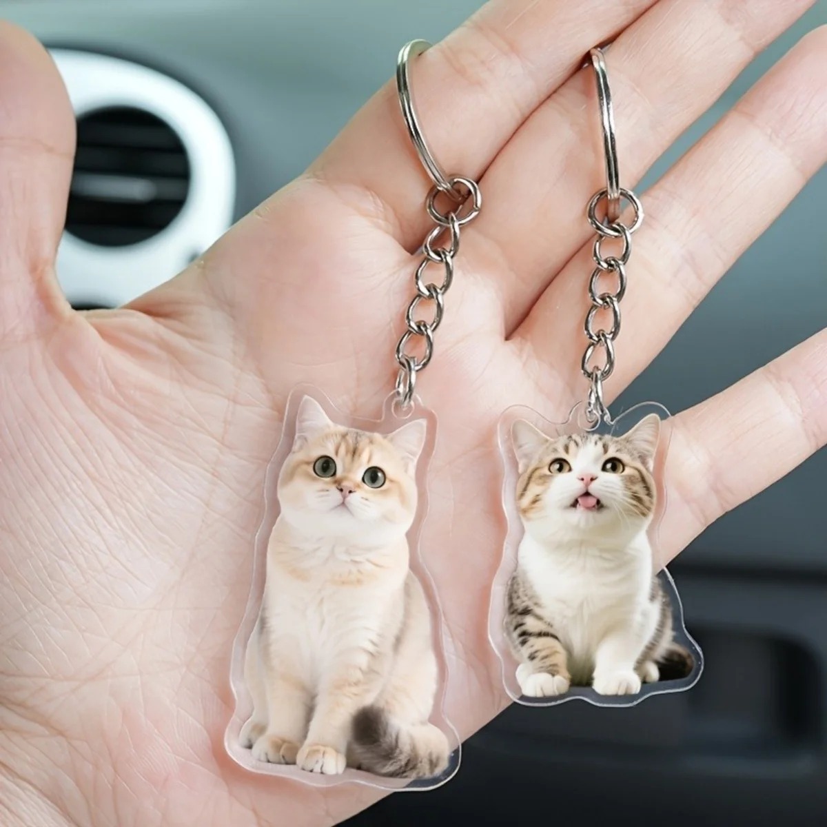 พวงกุญแจอะคริลิกแบบตัดตามสั่ง, - Pet Portrait Custom บทวิจารณ์และราคา